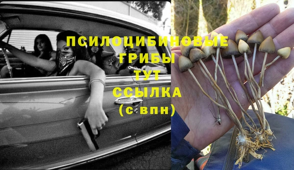 прущая мука Пестово