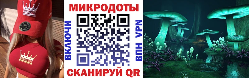 Галлюциногенные грибы Psilocybine cubensis  Унеча 