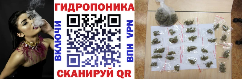 Каннабис сатива Унеча